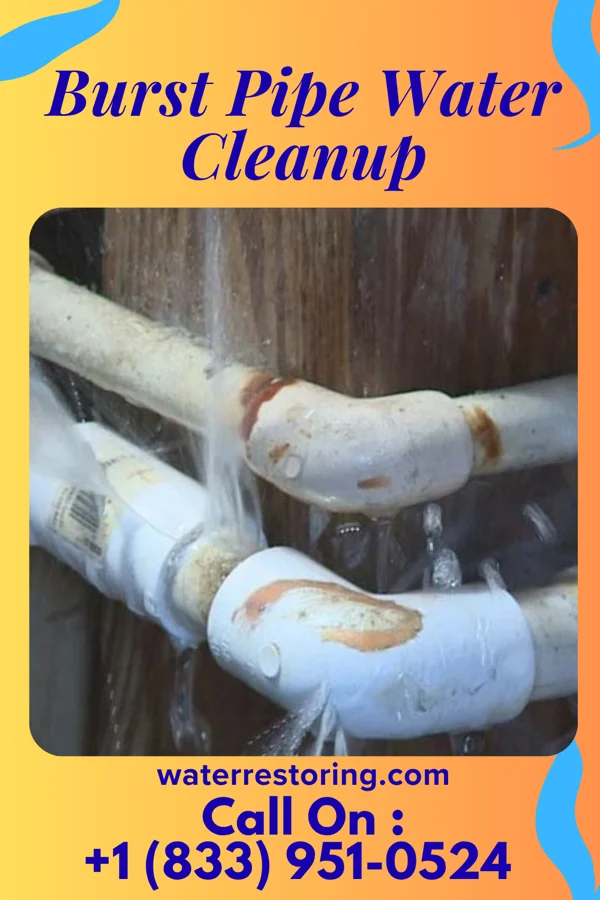 Burst Pipe Water Cleanup in North Amityville, NY
