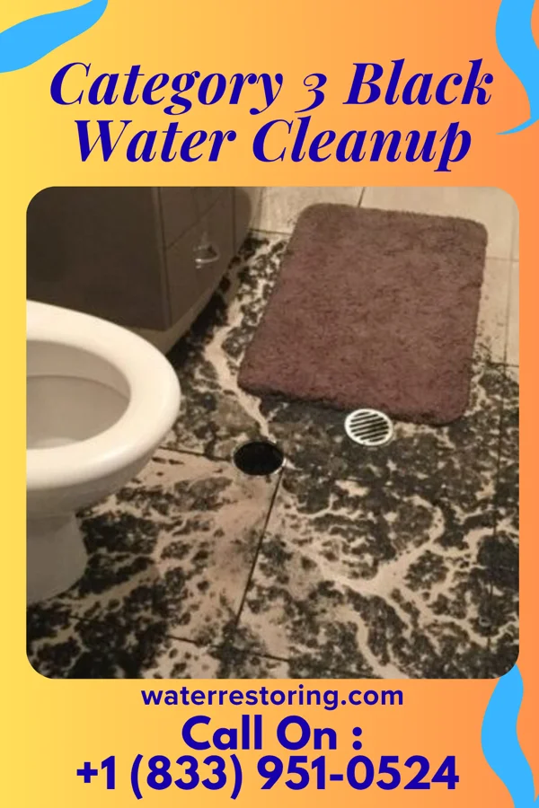 Category 3 Black Water Cleanup in North Amityville, NY