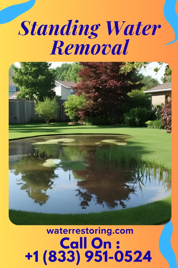 Standing Water Removal in North Amityville, NY